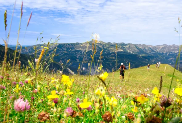 Randonnée au printemps au milieu des fleurs à Valberg