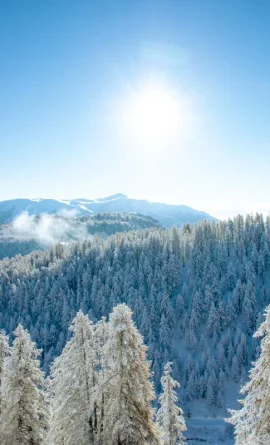 Paysage hiver à Valberg